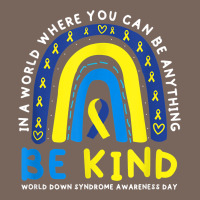 Be Kind Down Syndrome Awareness Blue Ribbon Rainbow March 21 T Shirt Premium Hoodie | Teevron