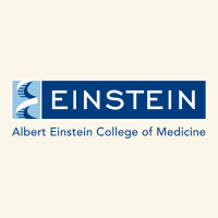 Albert Einstein College Of Medicine Premium Hoodie | Teevron