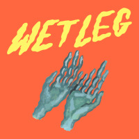 Wetleg Merch Premium Hoodie | Teevron