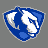 The Eastern Illinois Panthers Premium Hoodie | Teevron