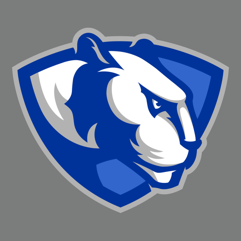 The Eastern Illinois Panthers Premium Hoodie by linhVisuals | Teevron