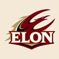 The Elon Phoenix Premium Hoodie | Teevron