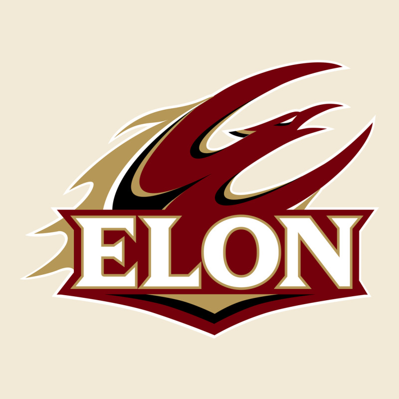 The Elon Phoenix Premium Hoodie by linhVisuals | Teevron
