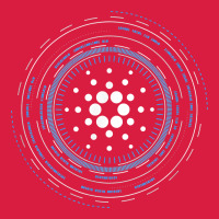 Cardano Ada Crypto Cryptocurrency T Shirt Premium Hoodie | Teevron