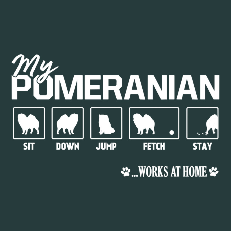 Dog Pomeranian Cute Dog Puppy Pet Black Paw Premium Hoodie by linhVisuals | Teevron