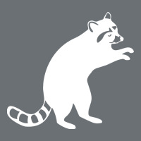 Raccoon Premium Hoodie | Teevron