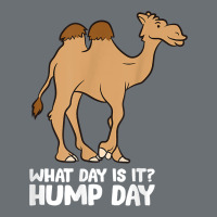 What Day Is It Hump Day Funny Camels Hump Day T Shirt Premium Hoodie | Teevron