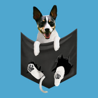 Rat Terrier Dog In Pocket, Rattie Puppy, Ratting Terrier T Shirt Premium Hoodie | Teevron