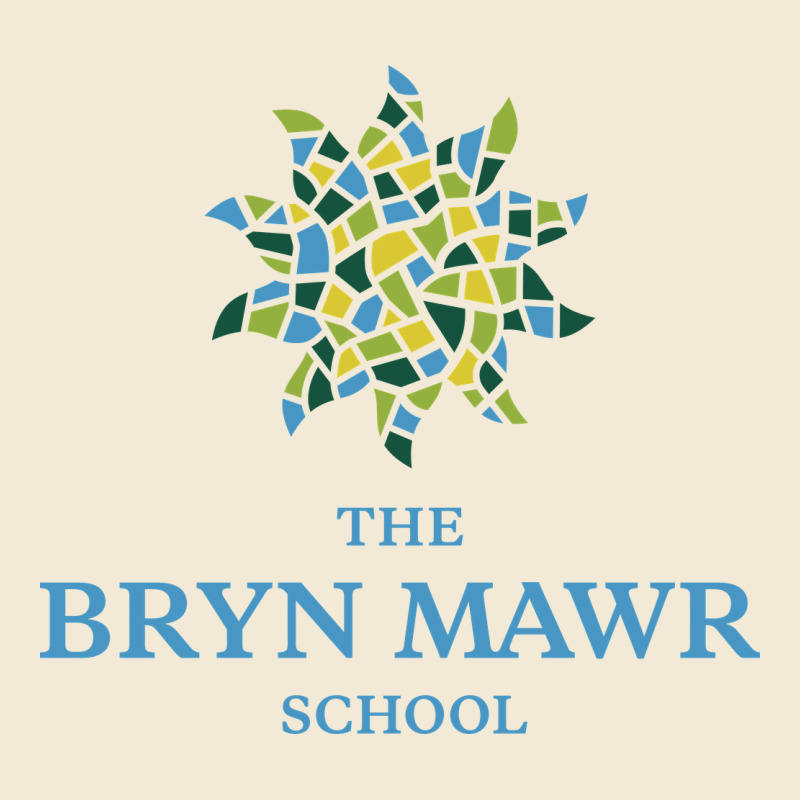Bryn Mawr School Premium Hoodie by linhVisuals | Teevron