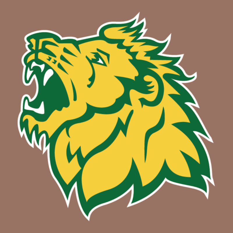 Missouri Southern, Mssu Lions Premium Hoodie by linhVisuals | Teevron