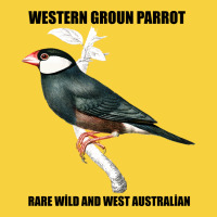 Western Ground Parrot Rare Wild And West Australia Premium Sweatshirt | Teevron