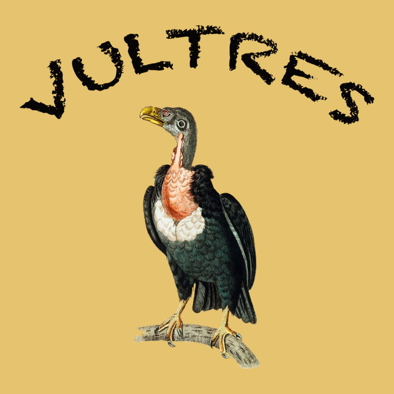 Vultures Premium Sweatshirt by Bettercallsaul | Teevron