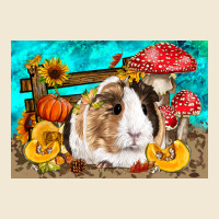 Guinea Pig Kid's Ladies Tee | Teevron
