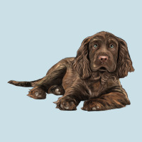 Sussex Spaniels Llustrations Ladies Tee | Teevron