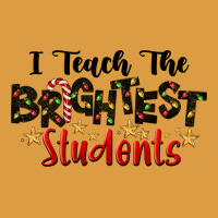 I Teach The Brightest Students Urban Heavy Tee | Teevron