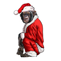 Chimpanzee With Santa Clothes | Teevron