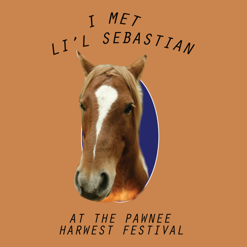 I Met Lil Sebastian Heavyweight Hoodie by Bettercallsaul | Teevron