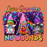 Love Gnomies No Brounds Pride Classic Tee | Teevron