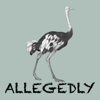 Allegedly Heavyweight Hoodie | Teevron