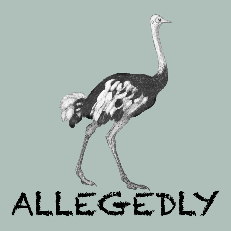 Allegedly Heavyweight Hoodie by Bettercallsaul | Teevron