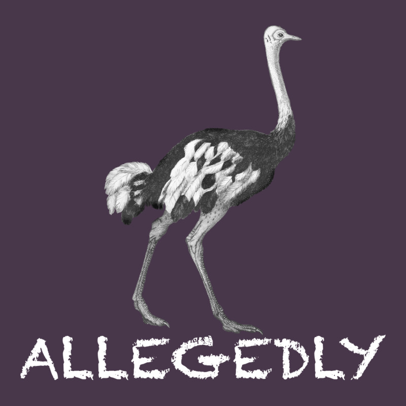 Allegedly Heavyweight Hoodie by Bettercallsaul | Teevron