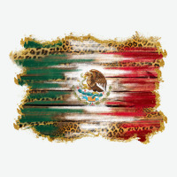 Mexican Flag With Leopard Urban Heavy Tee | Teevron
