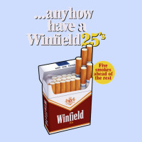 Anyhow Have A Winfield 25s Classic Urban Heavy Tee | Teevron