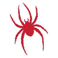 Richmond spiders | Teevron