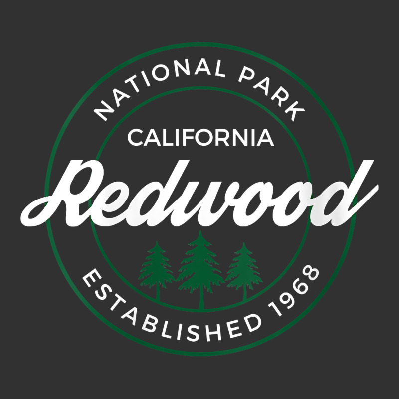 Womens Redwood National Park California Gifts Souvenir Ca V Neck T Shi Urban Heavy Tee by Craftify | Teevron