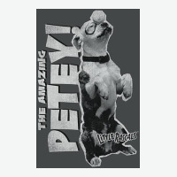 Little Rascals, Amazing Petey Urban Heavy Tee | Teevron