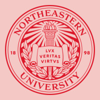 Northeastern University Urban Heavy Tee | Teevron