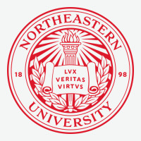 Northeastern University Urban Heavy Tee | Teevron
