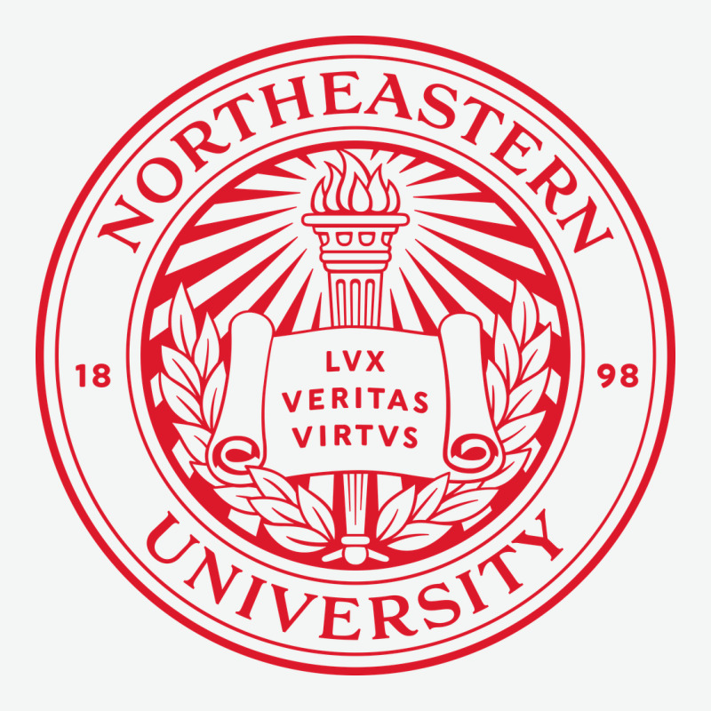 Northeastern University Urban Heavy Tee by ArtChic | Teevron
