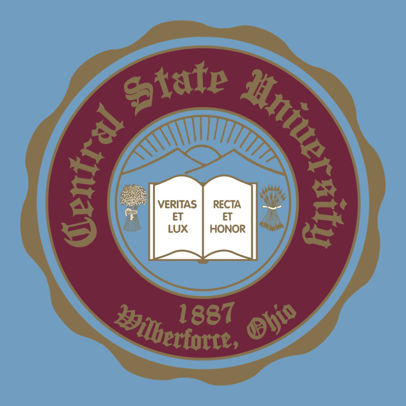 College Of  Central State Wilberfroce 1887 Urban Heavy Tee by ArtChic | Teevron