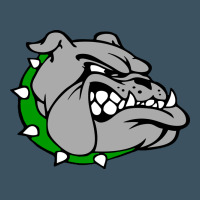 Ashville High School, Ashville Bulldogs Urban Heavy Tee | Teevron