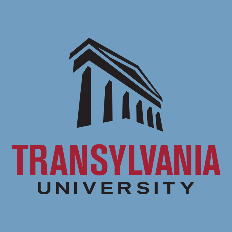 Transylvania University Urban Heavy Tee by PixelFlow | Teevron