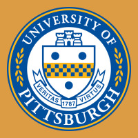 The-university-of-pittsburgh Urban Heavy Tee | Teevron