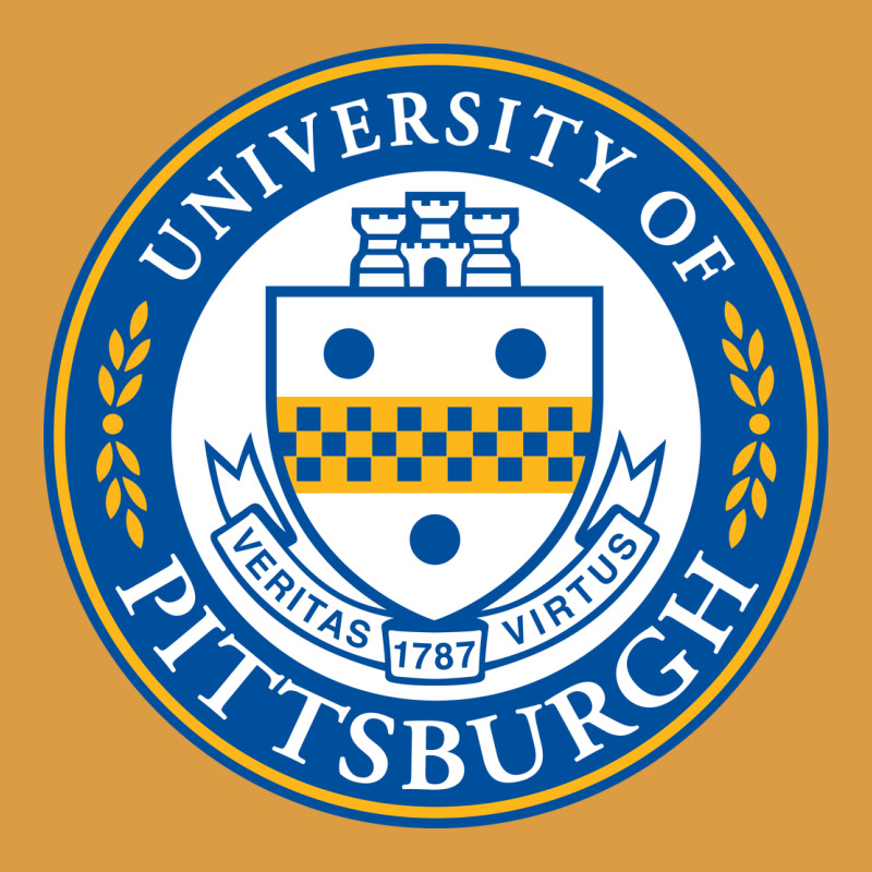 The-university-of-pittsburgh Urban Heavy Tee by SnappyArt | Teevron