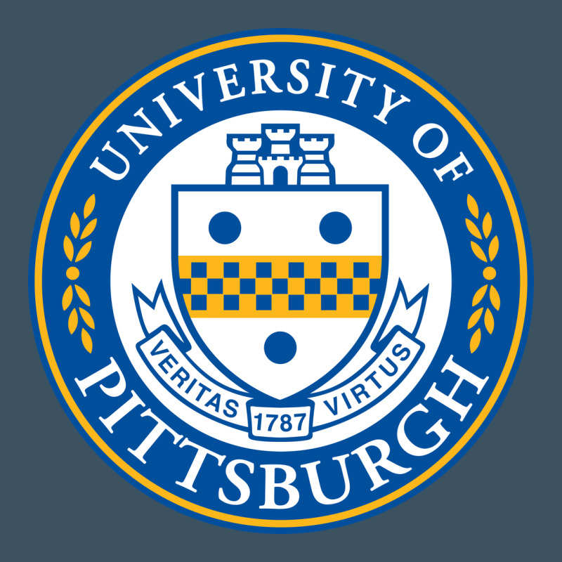 The-university-of-pittsburgh Urban Heavy Tee by SnappyArt | Teevron