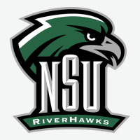 Northeastern State Riverhawks Urban Heavy Tee | Teevron