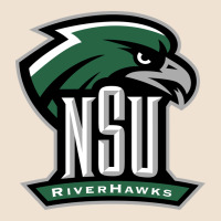 Northeastern State Riverhawks Urban Heavy Tee | Teevron