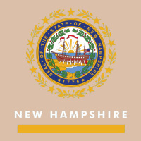 New Hampshire State Flag New Urban Heavy Tee | Teevron
