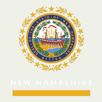 New Hampshire State Flag New Urban Heavy Tee | Teevron