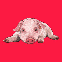 Baby Pig Zipper Hoodie | Teevron