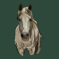 Horse Zipper Hoodie | Teevron