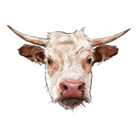 hereford cow head | Teevron