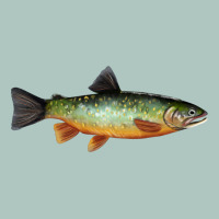 Greenback Cutthroat Trout Fish Premium Sweatshirt | Teevron