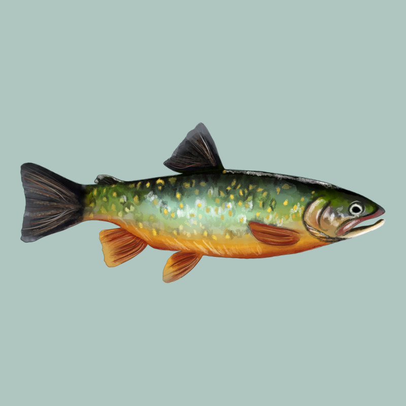 Greenback Cutthroat Trout Fish Premium Sweatshirt by RanaPortraitStore | Teevron