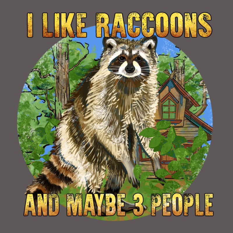 I Like Raccoons And 3 People Premium Hoodie by BarkalooDesign | Teevron