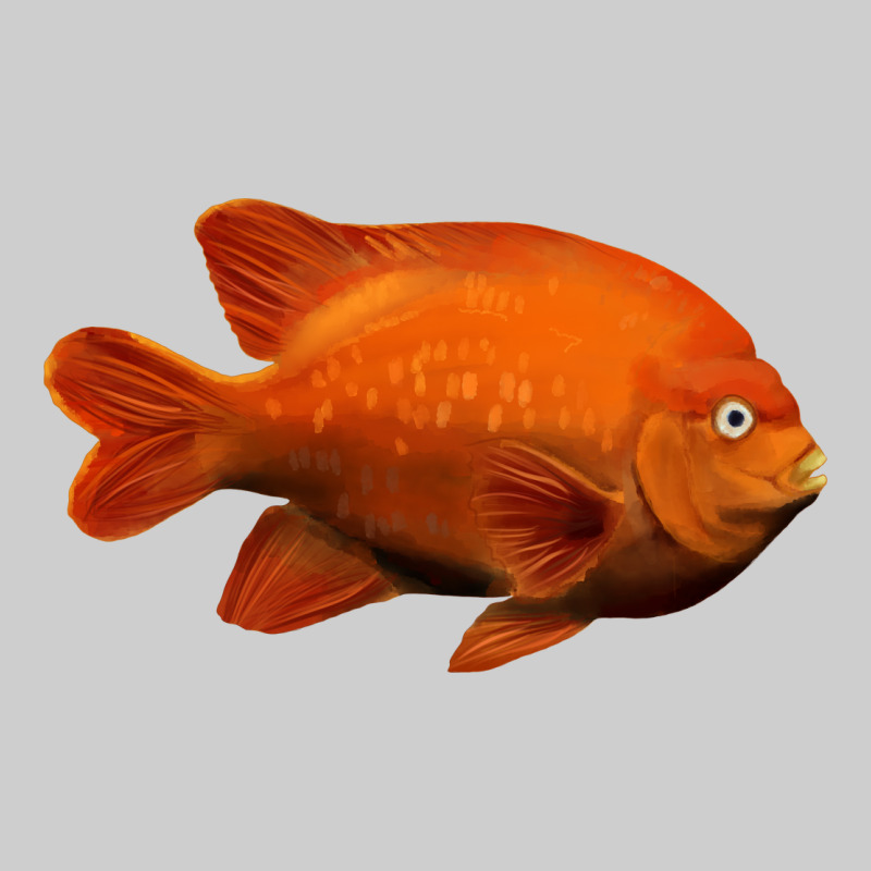 California Garibaldi Fish Premium Sweatshirt by RanaPortraitStore | Teevron